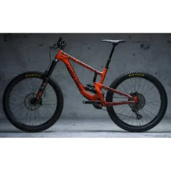 Dyedbro Zebra Black 11 Dyedbro Zebra Black -Xlc Industriea Shop dyedbro zebra black 4