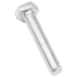 PLETSCHER Screw For Easel M10x65 F 5 ESGE
